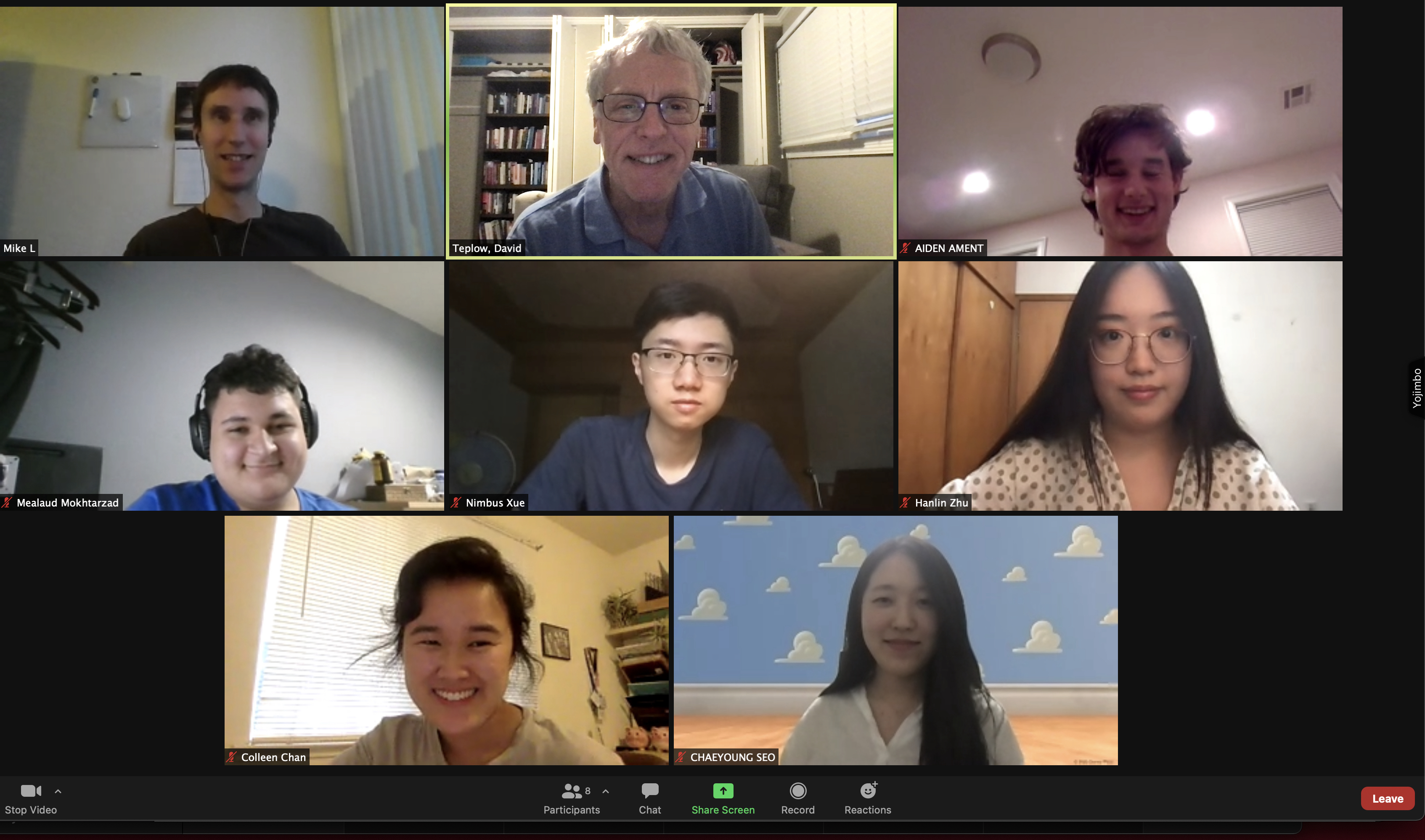 Math 199 Spring 2021 Research Team