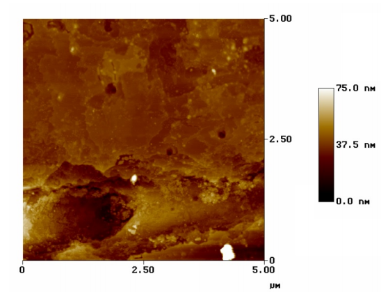 AFM image of superconductor surface